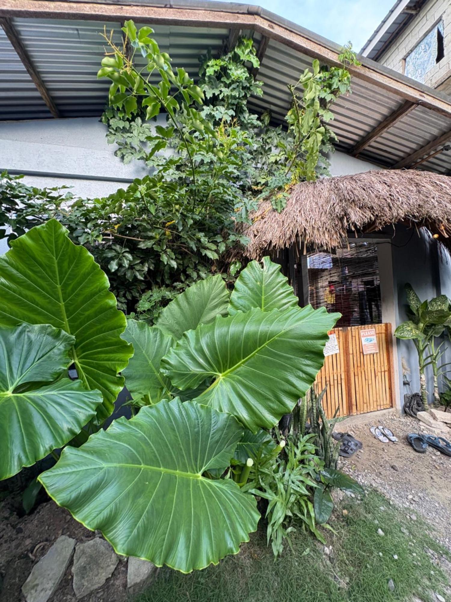 Jaydy Hostel General Luna  Exterior photo